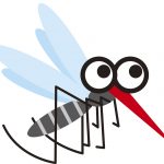 日本脳炎ワクチン不足|いつになったら接種できるのでしょうか・・・